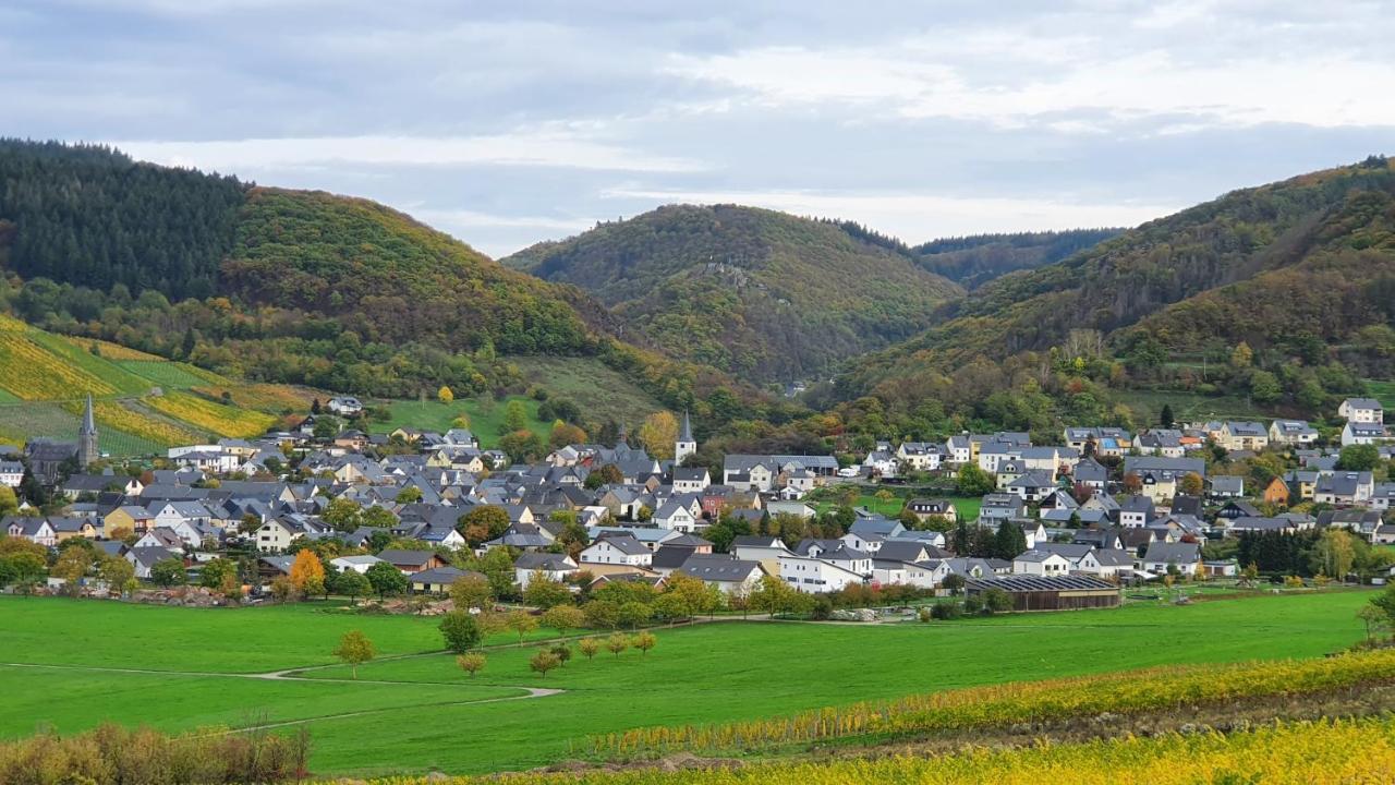 Ferienwohnung Im Moseltal Veldenz Dış mekan fotoğraf